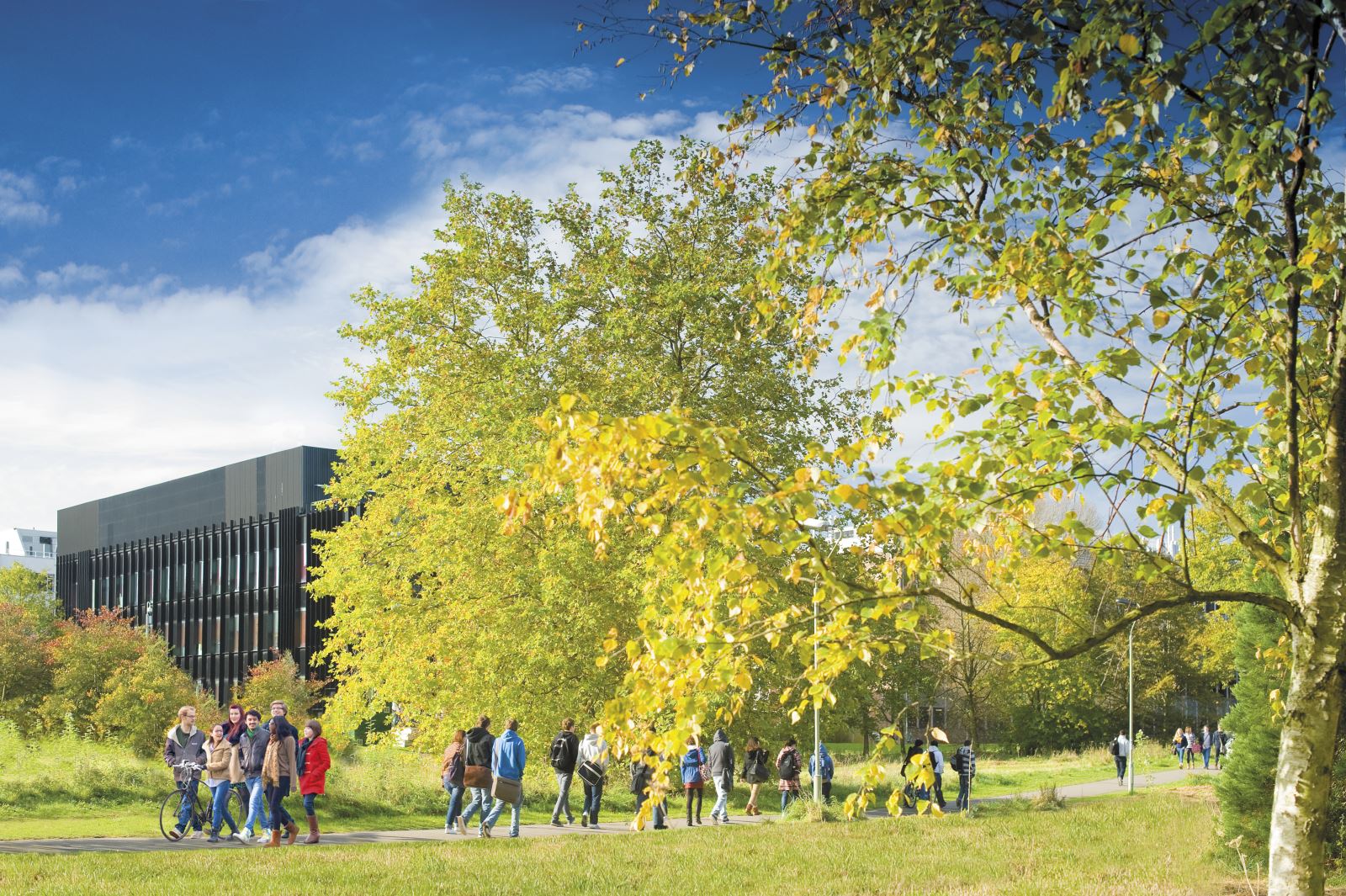 Reading University Whiteknights campus